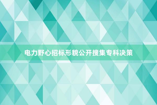 电力野心招标形貌公开搜集专科决策